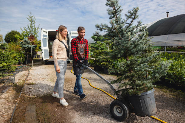 Best Emergency Tree Service  in Centralia, WA